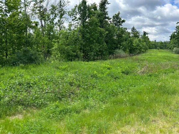 V/l Par #9-M-32, Hillman, MI 49746