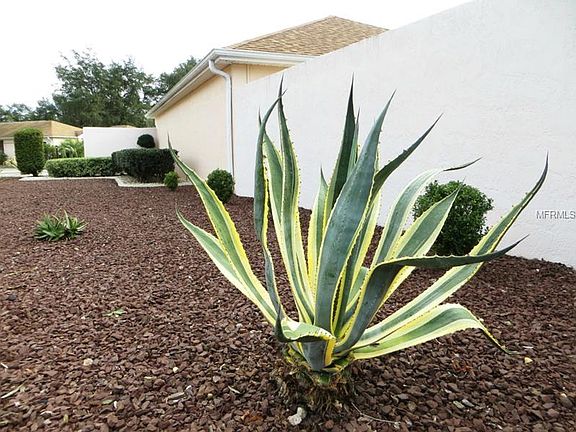5th image of 434 Cambio Ct