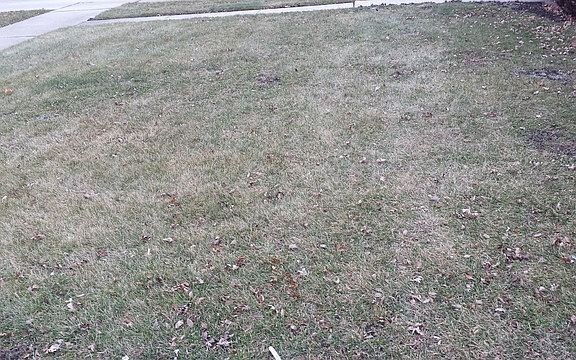 4th image of 2036 Spruce Ave