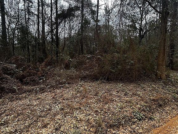 3rd image of 0 County Line Rd