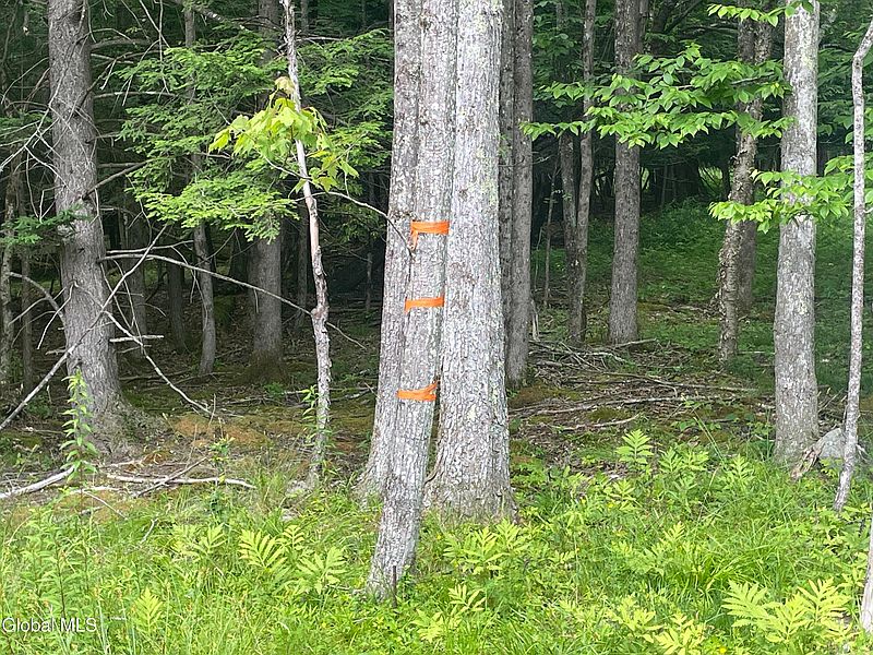 4th image of TBD Boulder Brook Road Lot # 10