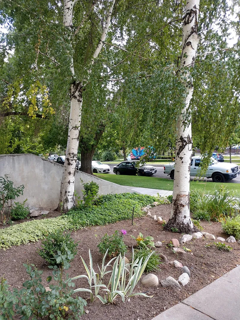 Downtown Slc - 1st M. Free! 2 Bdrm Condo W/ Views! — Photo 3