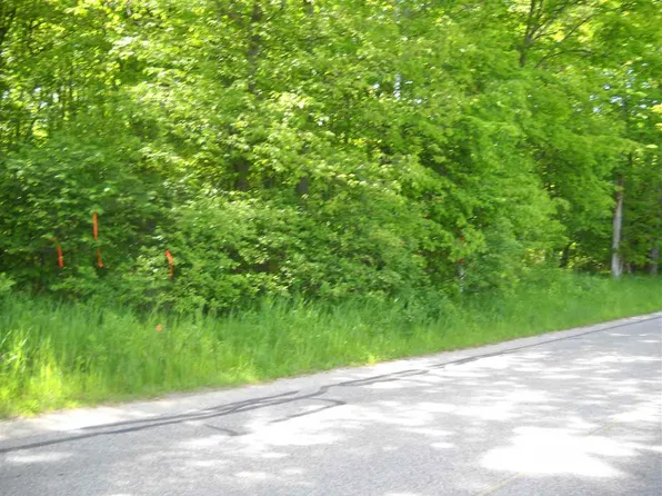 8278 Mink Rd Parcel A, Harbor Springs, MI 49740