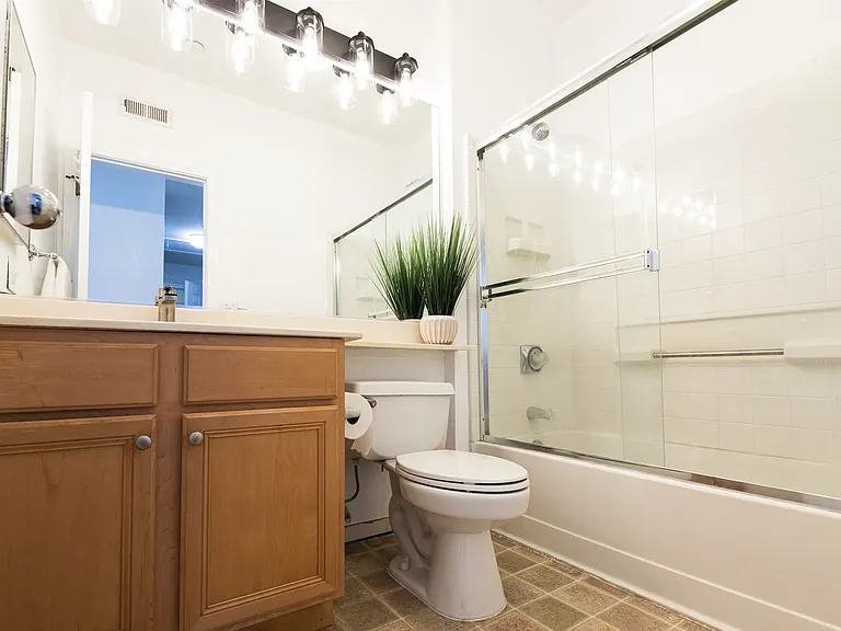 Hallway Bathroom