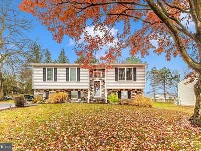 348 Buck Cash Dr, Westminster, MD, 21158