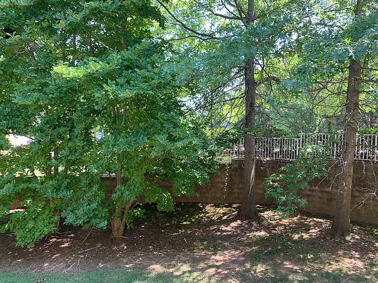 47 Hoover Ave — Photo 20