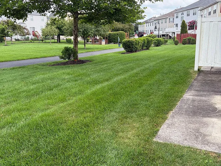 193 Fountayne Ln — Photo 3