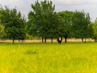 LOT Fm 1117, Seguin, TX, 78155