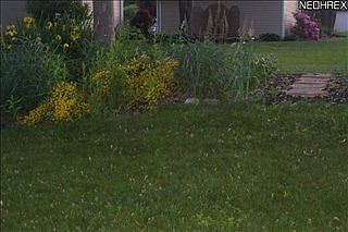 1st image of 1482 Chapman Ave