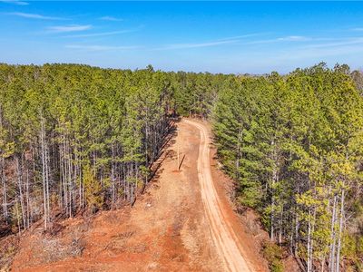 0 County Road 95, Lafayette, AL, 36862