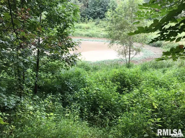 0 Sycamore Rd, Millcreek, IL 62961