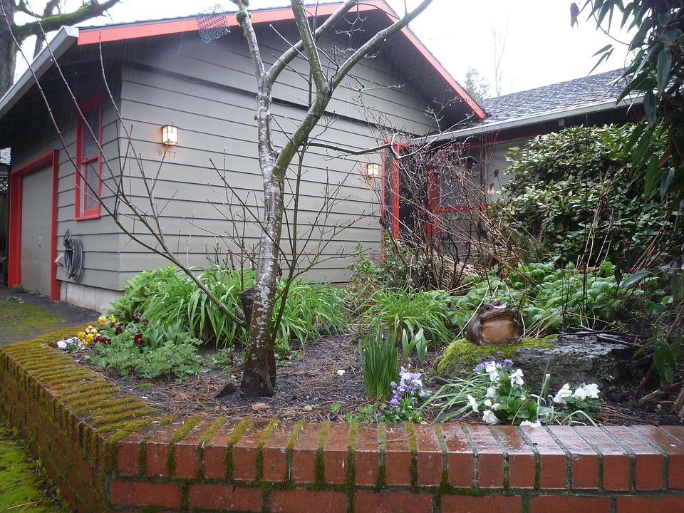 Late spring, rainy day