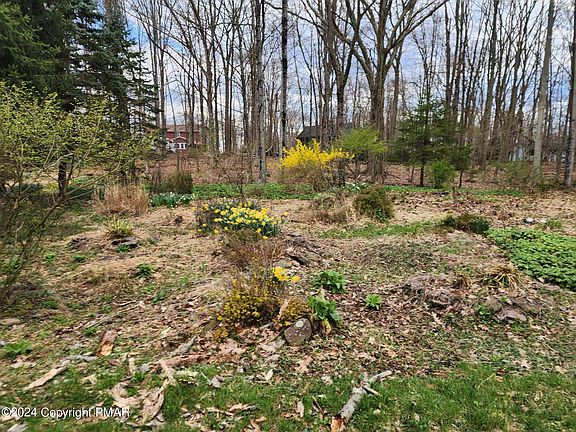 5th image of 4183 Paper Birch Ln