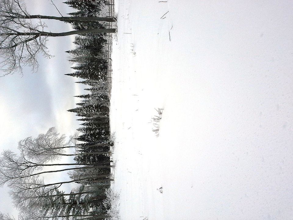 Road to back of property