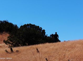 2 County Road 5035, Concho, AZ 85924