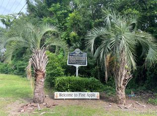 15980 Highway 10 E, Pine Apple, AL 36768