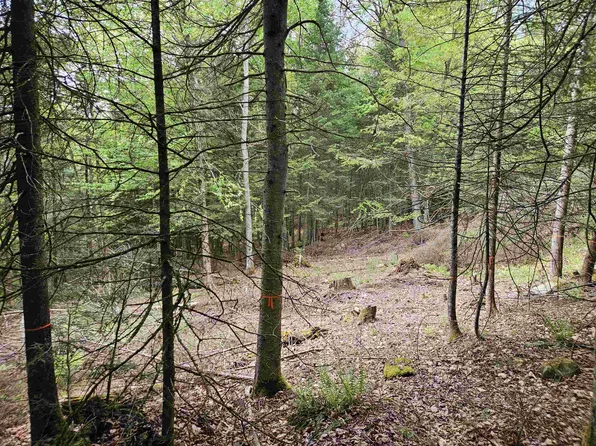 35 Langway Road, Lyman, NH 03585