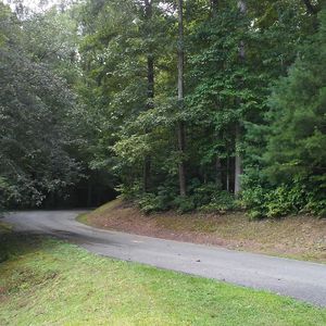 0 White Oak Ponds Rd Lot 2, Blue Ridge, GA, 30513