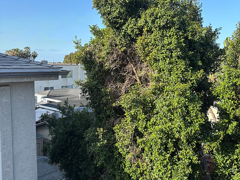 1321 Pacific Beach Dr #C — Photo 24