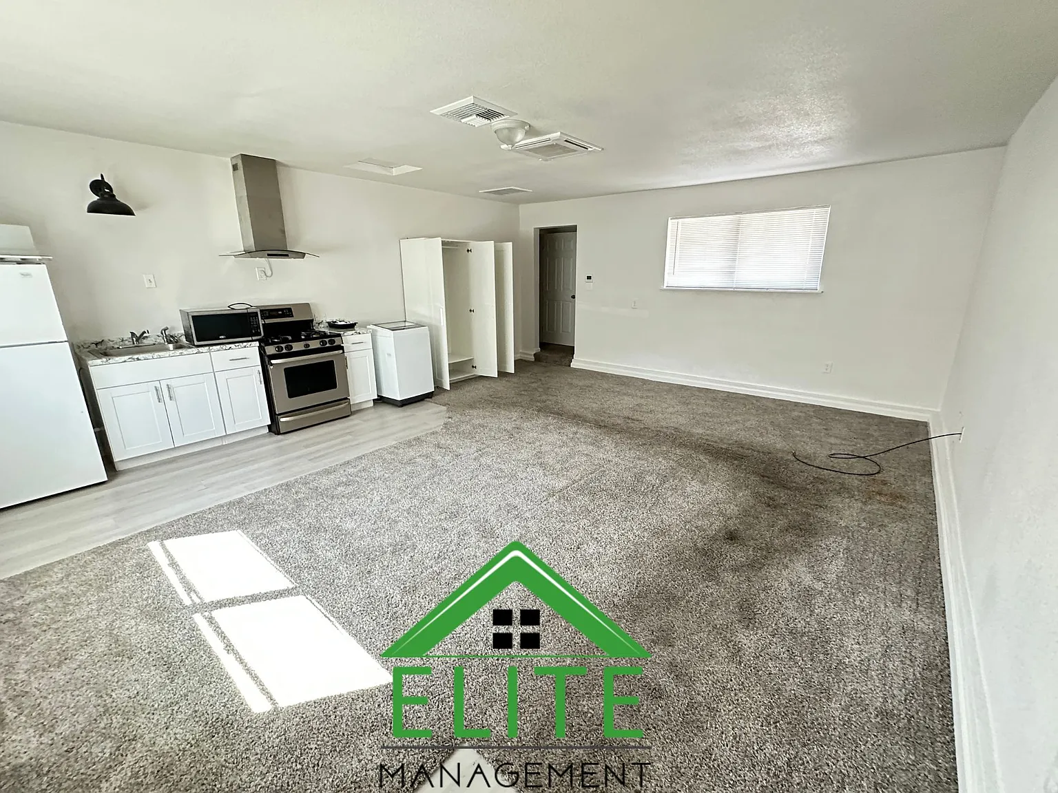 Studio, 250 sqft, $1,395 — Photo 2