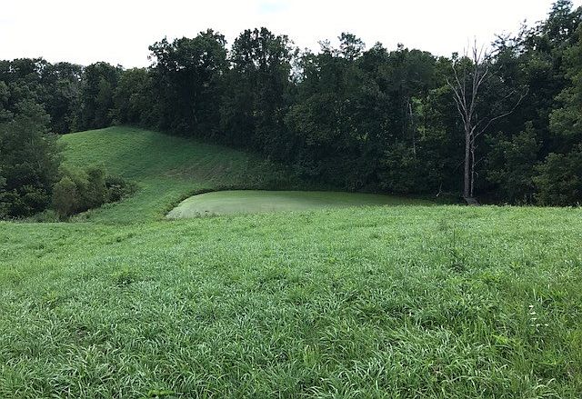 1st image of 1999 Gardnersville Rd