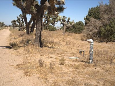 0 Fremontia Rd, Oak Hills, CA, 92344