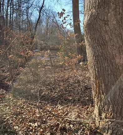 3rd image of Lots 38/39 North Independence Dr