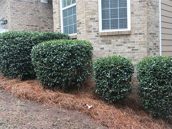 5th image of 6704 Mimosa Cir