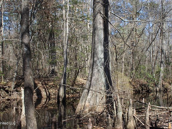 2nd image of 2194 Brandi Rd