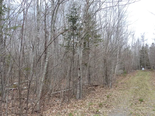 00 Green Lake Road, Dedham, ME 04429