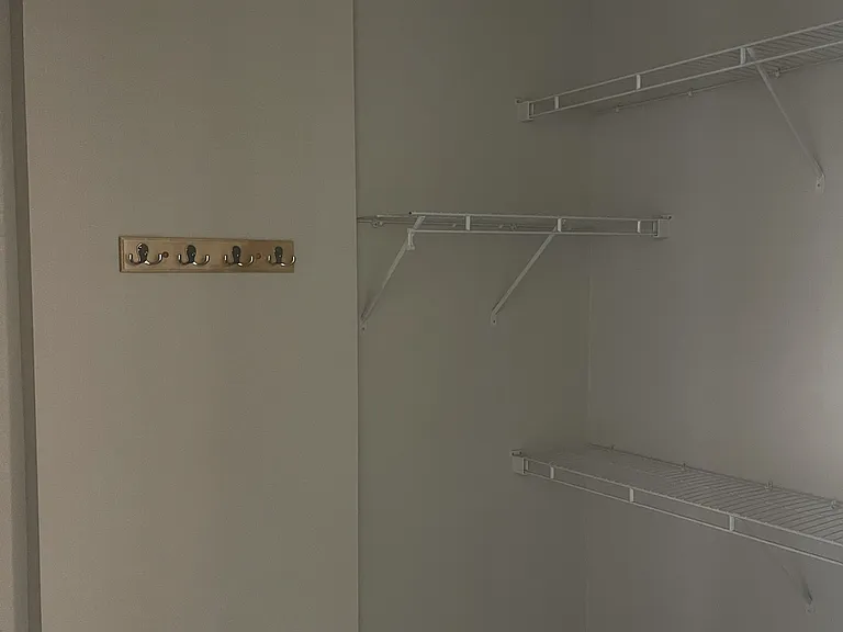 Closet with shelves