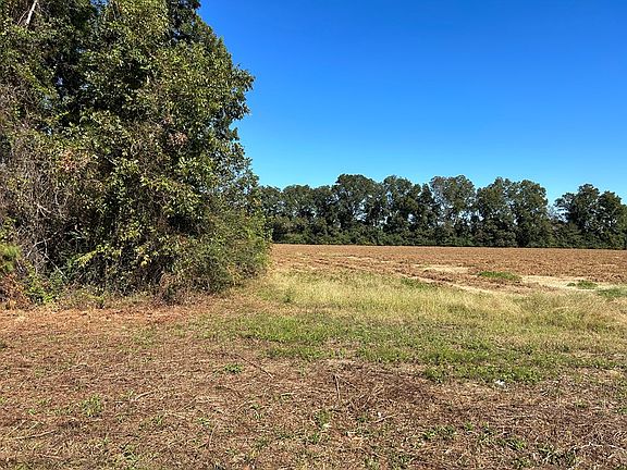 2nd image of 5.107 Willie Varnum Rd Lot 4