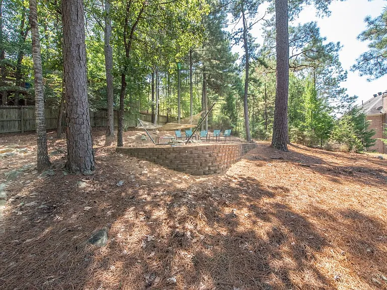 Fabulous wooded backyard to enjoy the afternoon on the hammock.