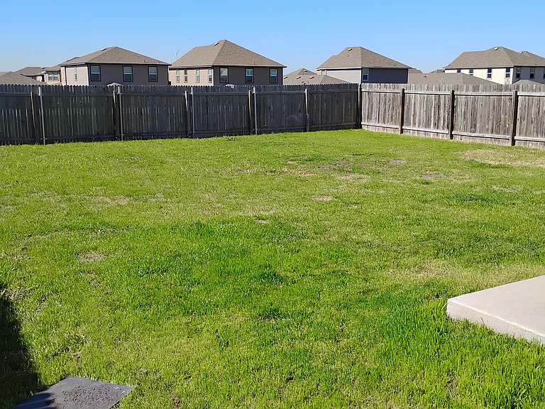 backyard best_07072026