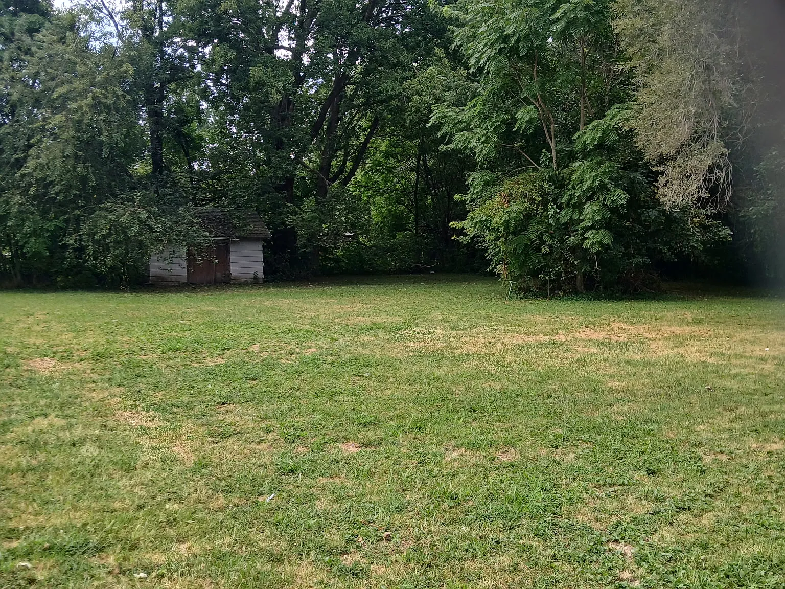 2 bed, 804 sqft, $925 — Photo 3
