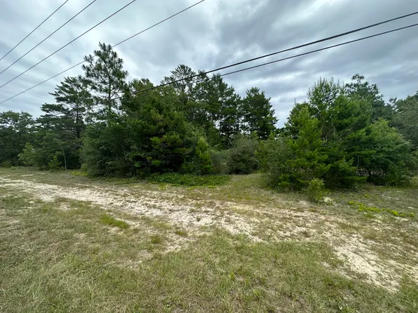 Xx Co Hwy #1087, Mossy Head, FL 32434