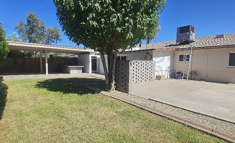 Backyard