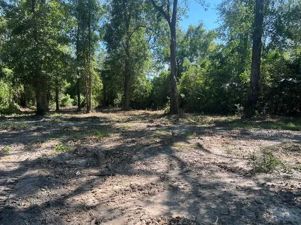 248 Catalpa St, Wewahitchka, FL 32465