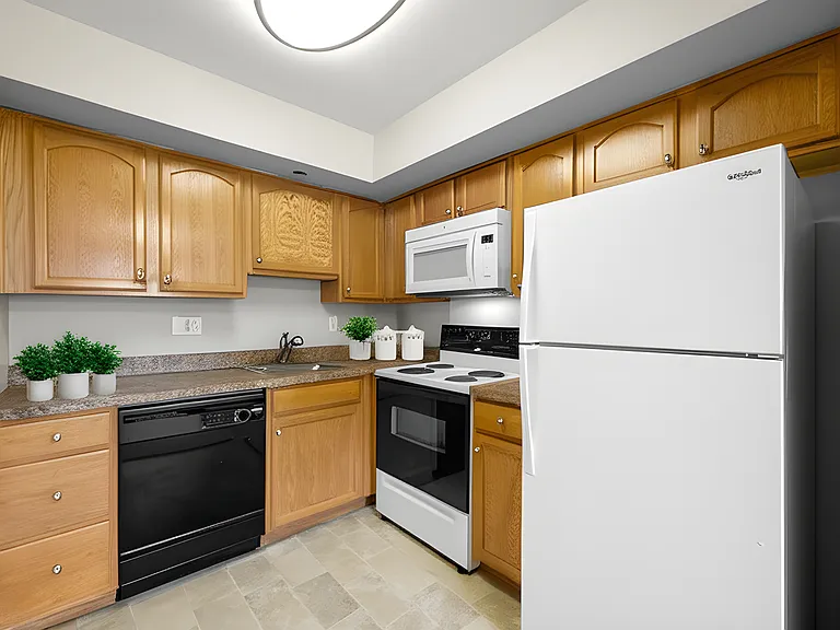 Standard Kitchen Style