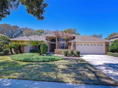 3813 Turkey Oak Dr, Valrico, FL, 33596