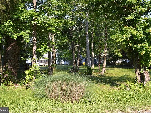 2nd image of 936 Walnut Ave