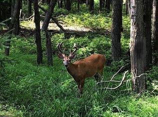 4 Wolf Hollow Rd, Lake Harmony, PA 18624