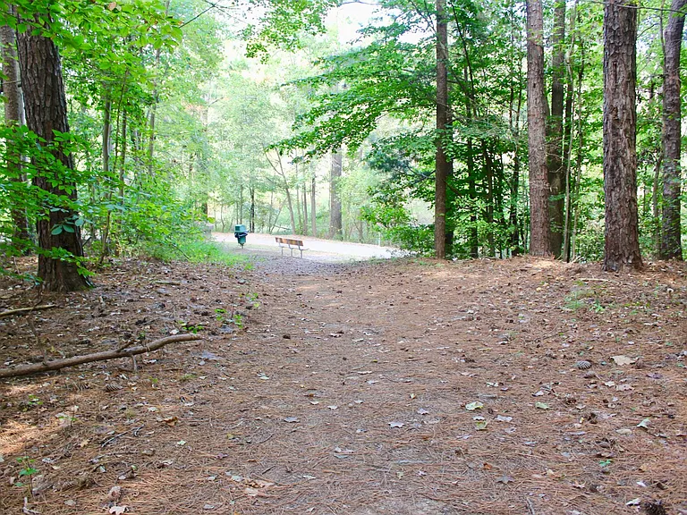 Access Path to Shelly Greenway