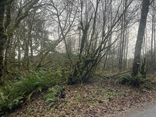 0 X Ward Creek Road, Raymond, WA 98577