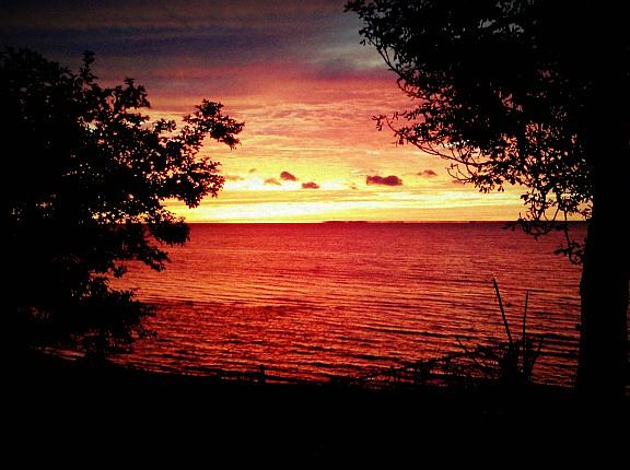 View to the West from Living Room