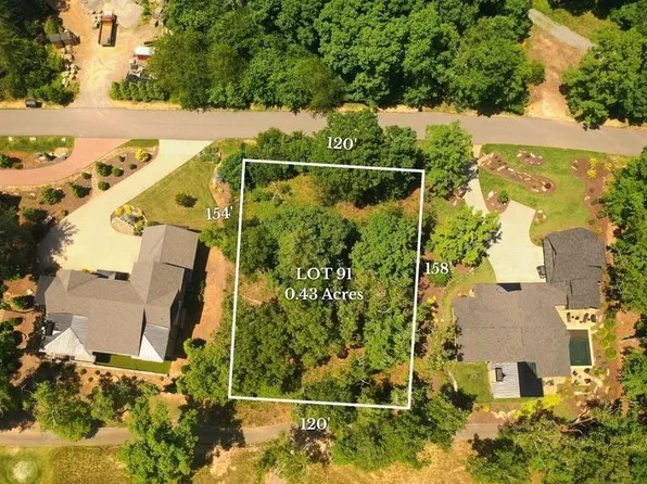 91 Fallen Leaf Rd, Mineral Bluff, GA 30559