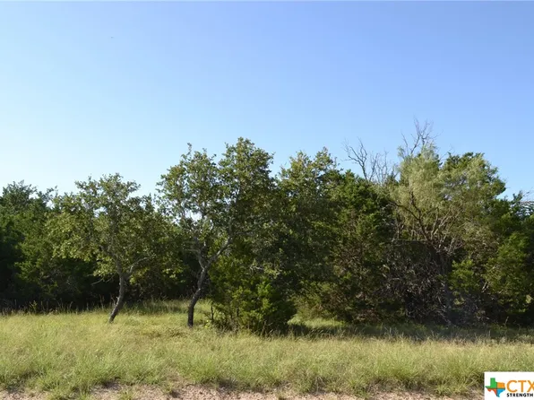 15 Lampasas River Pl, Kempner, TX 76539