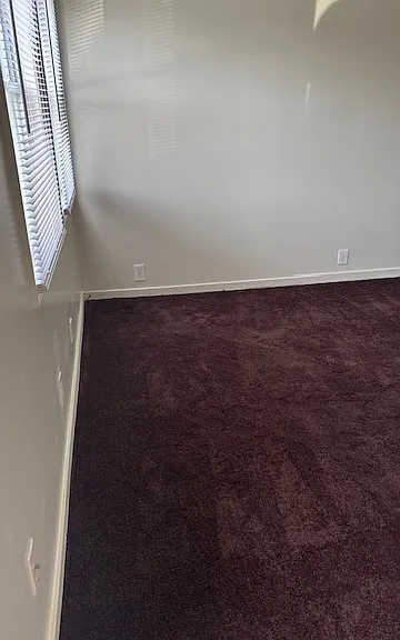 125 Ruth Harris Way — Photo 5