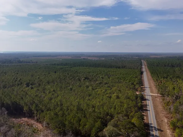 0 Bells Ferry Rd, Lumber City, GA 31549