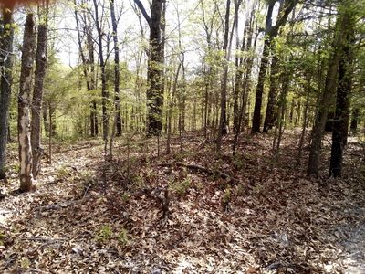 000 Serenity Ridge Road #000, Ozark, MO, 65721